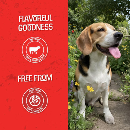 Grain free corn free wheat free healthy dog chewing treats texture detail