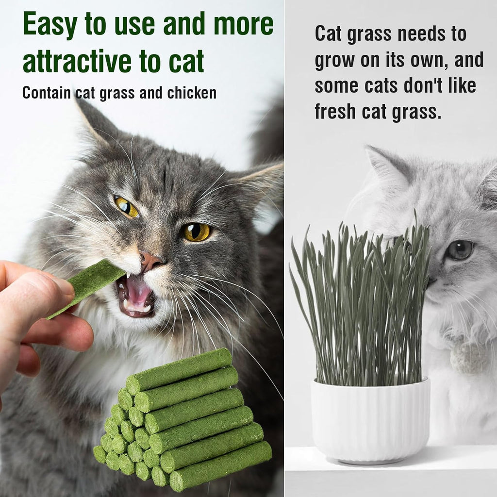 HavenJanny healthy cat snacks with chicken and grass ingredients for indoor pets.