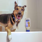 PetArmor Plus Flea and Tick Shampoo for Cats, Kills and Prevents Against Fleas and Ticks, Spring Freesia Scent, 12 fl. oz. - Image 14
