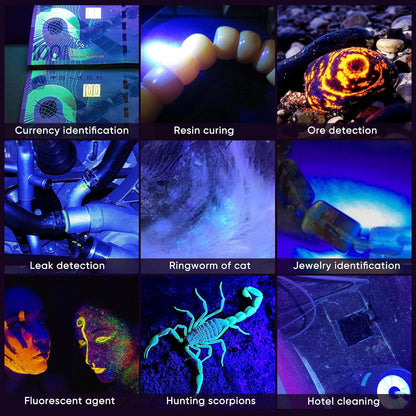 Luxnovaq professional ultraviolet light exposing glowing minerals and uranium glass in the dark.