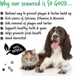 Bugalugs dental care powder for pets ingredients label