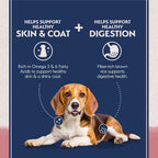 Natural Balance limited ingredient diet healthy grains salmon recipe for dogs