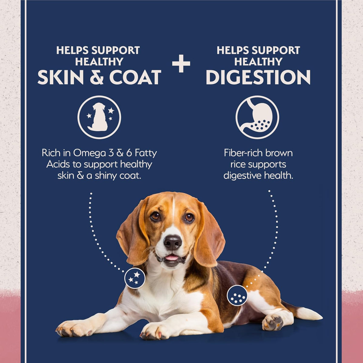 Natural Balance limited ingredient diet healthy grains salmon recipe for dogs