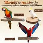 6 PCS Bird Perch Set - Image 5