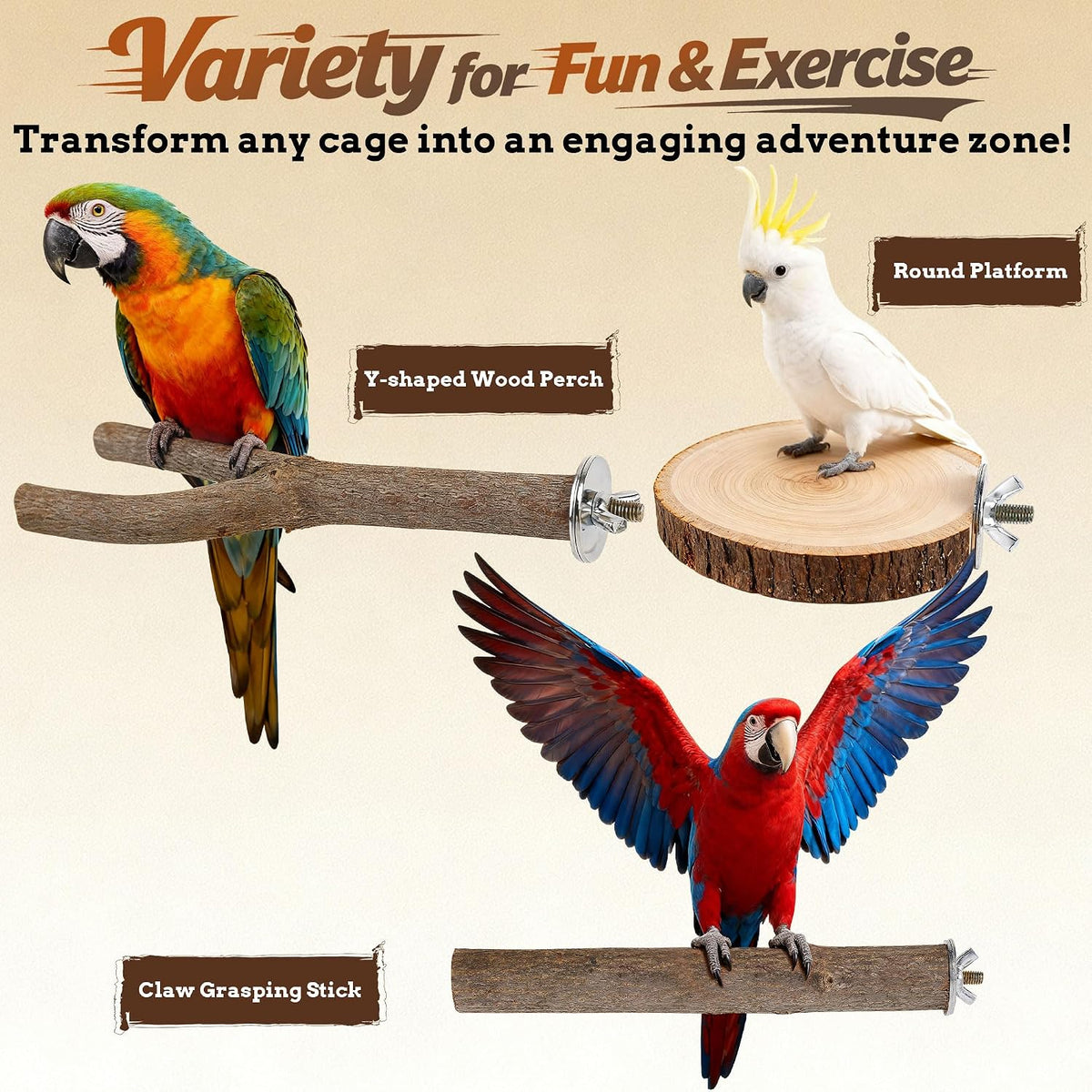 6 PCS Bird Perch Set - Image 5