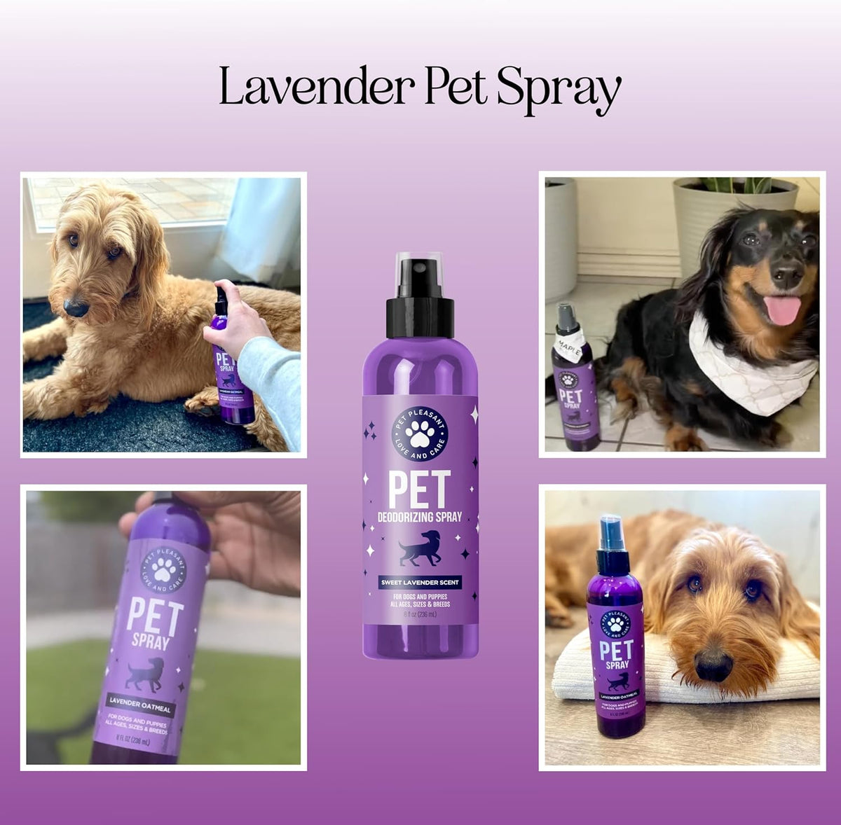Close up of lavender essential oil pet spray spray nozzle