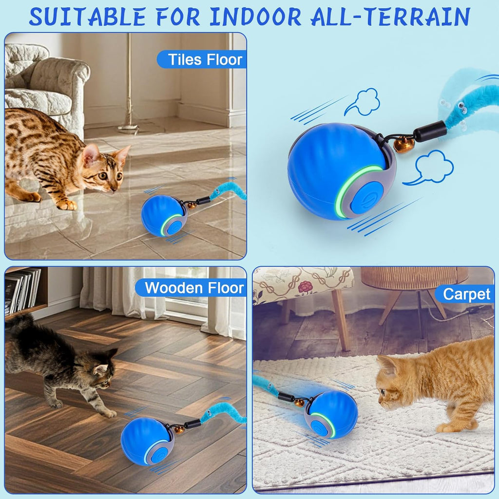 Tabby cat playing with Baborui interactive toy ball