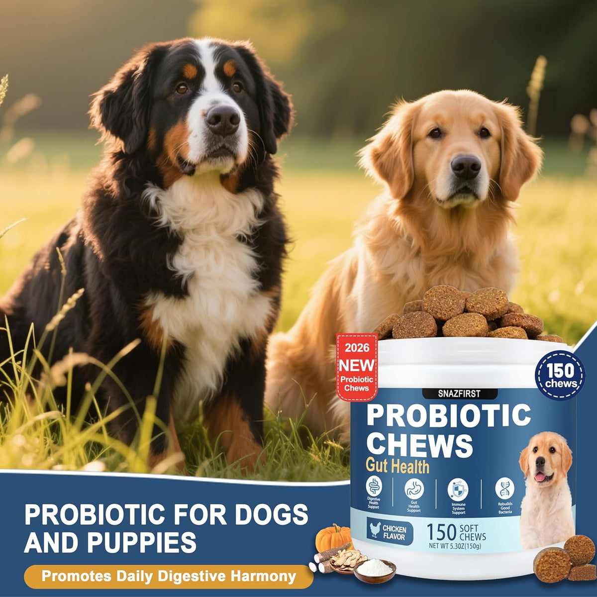 USA imported dog supplement jar for pet digestive health care.
