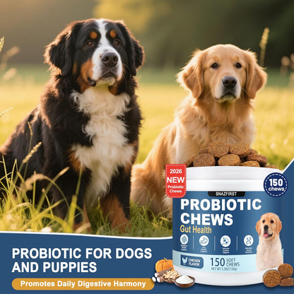 USA imported dog supplement jar for pet digestive health care.