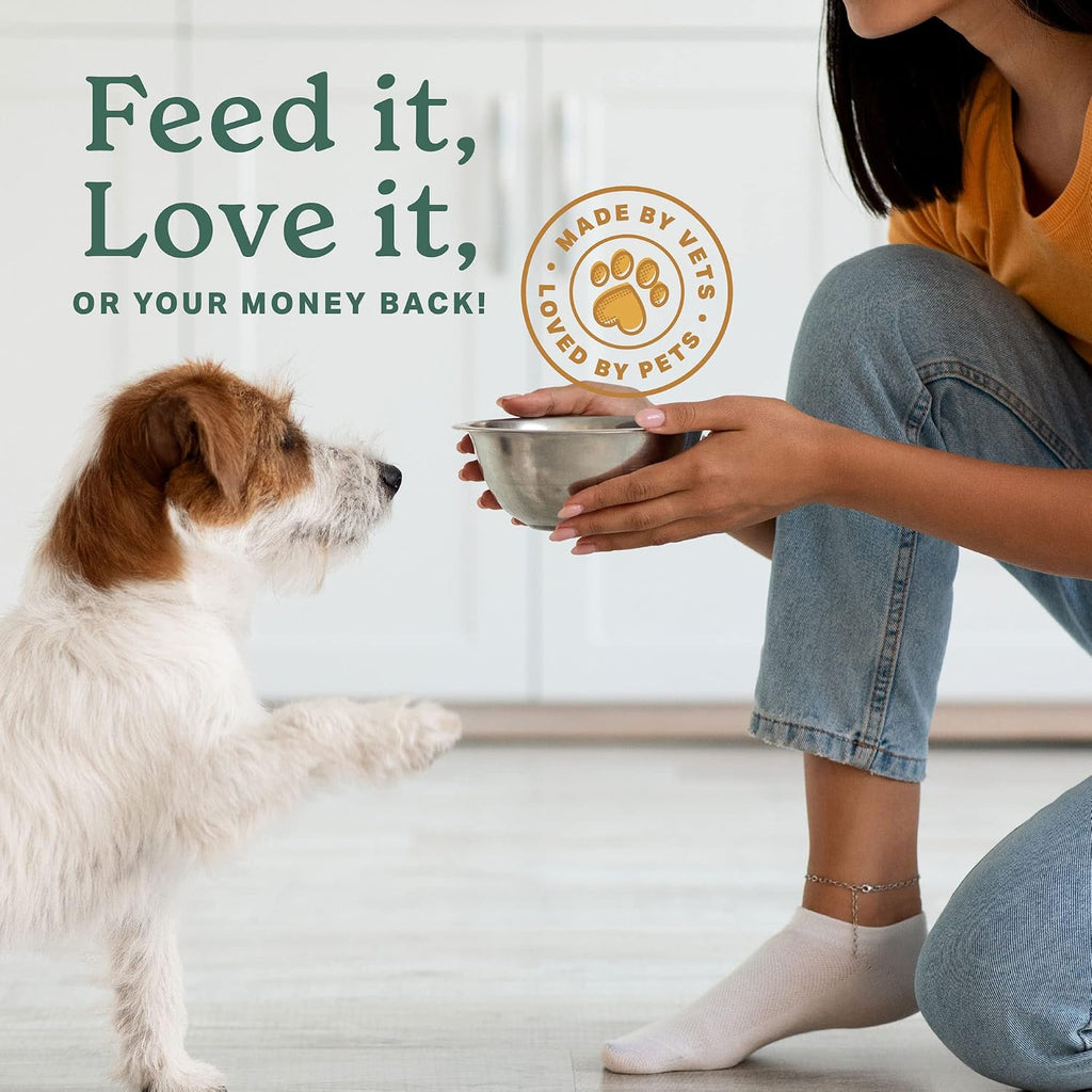 Adult dog enjoying food mixed with The Missing Link supplement