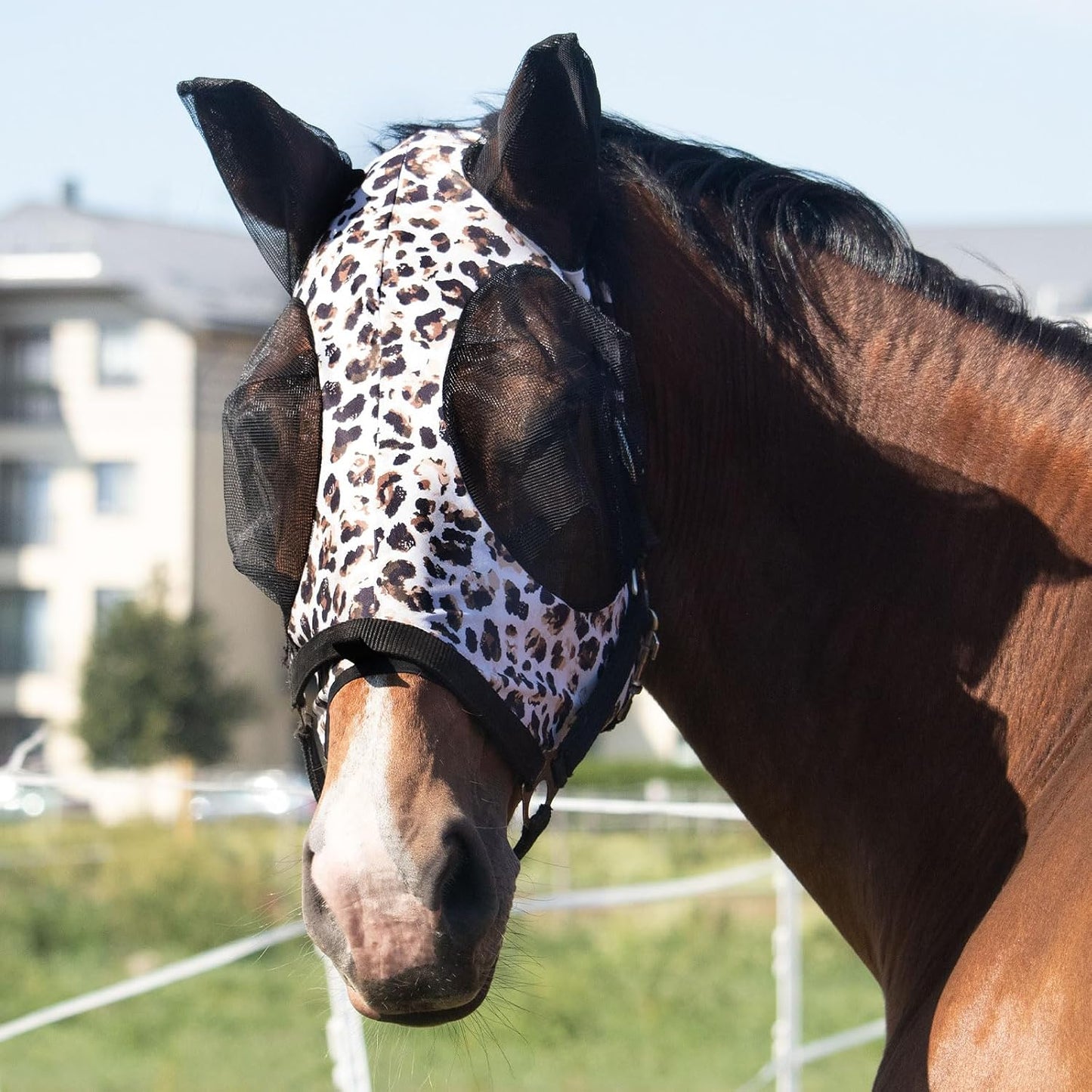 Horse wearing Harrison Howard UV protection fly mask in field