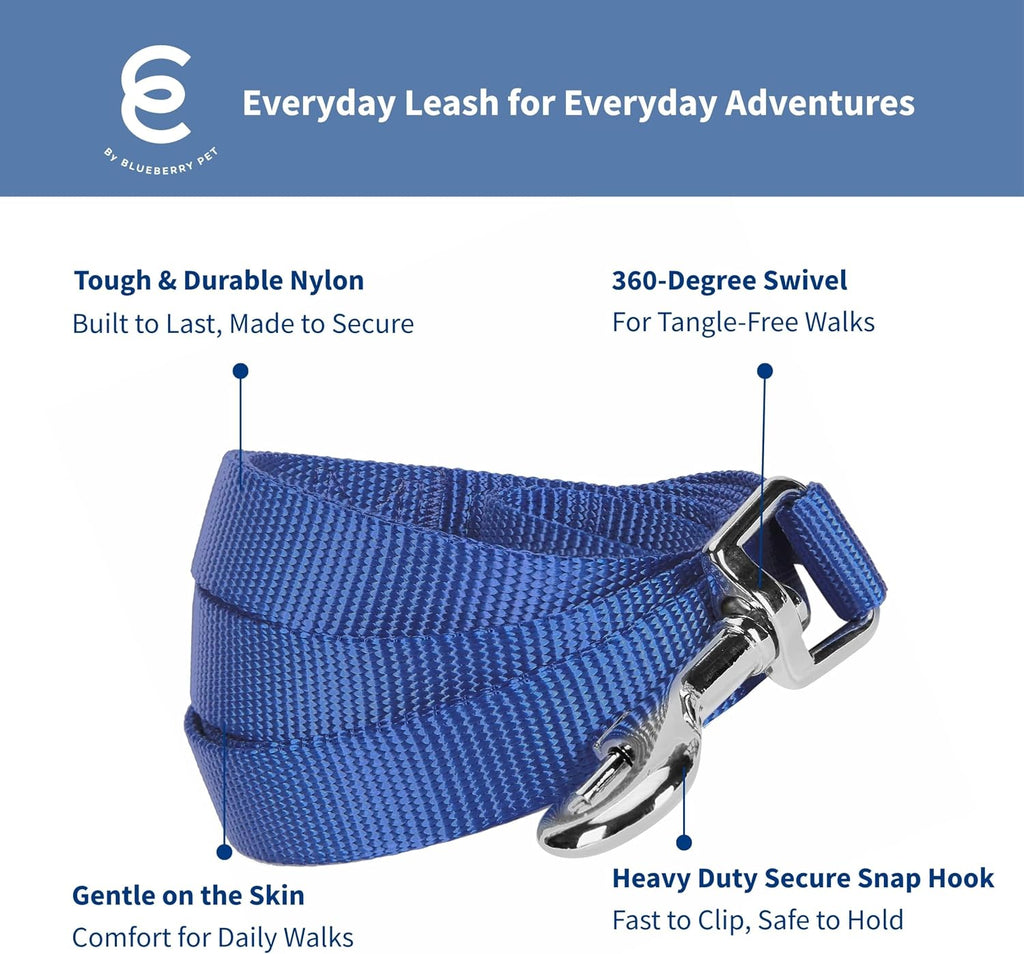 Blueberry Pet essentials classic blue dog belt chain for walking