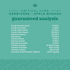 Prepared Oxbow critical care formula in a feeding syringe