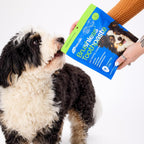 Ark Naturals Small Breed Brushless Toothpaste + Breath Bursts Bundle - Vet Formulated Dog Dental Chews for Small Breeds - Helps Reduce Plaque & Tartar, Polishes Teeth, and Freshens Breath - Image 9
