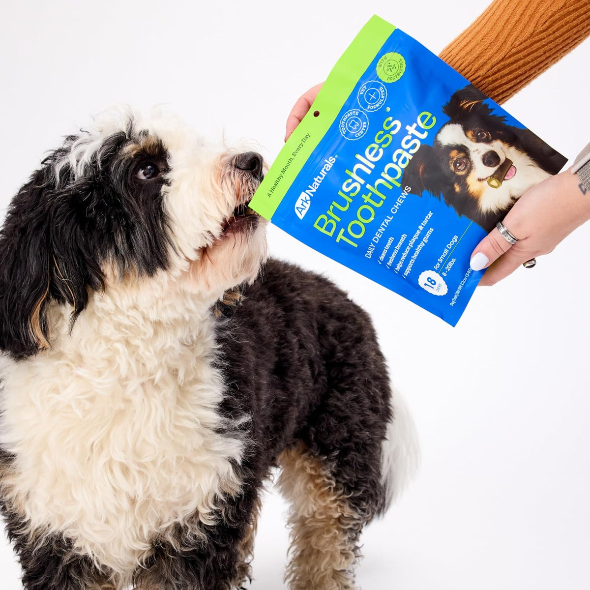 Ark Naturals Small Breed Brushless Toothpaste + Breath Bursts Bundle - Vet Formulated Dog Dental Chews for Small Breeds - Helps Reduce Plaque & Tartar, Polishes Teeth, and Freshens Breath - Image 9