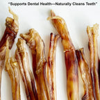 Detailed view of the 4 ounce ostrich tendon strip size