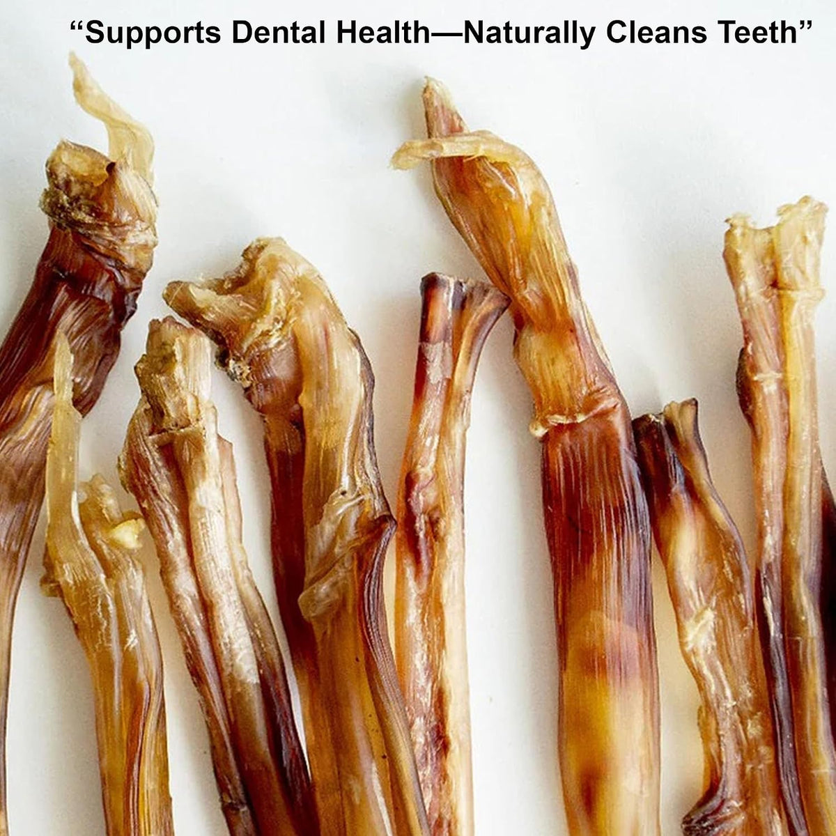Detailed view of the 4 ounce ostrich tendon strip size