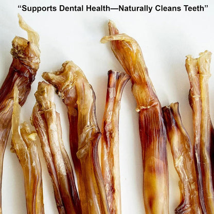 Detailed view of the 4 ounce ostrich tendon strip size