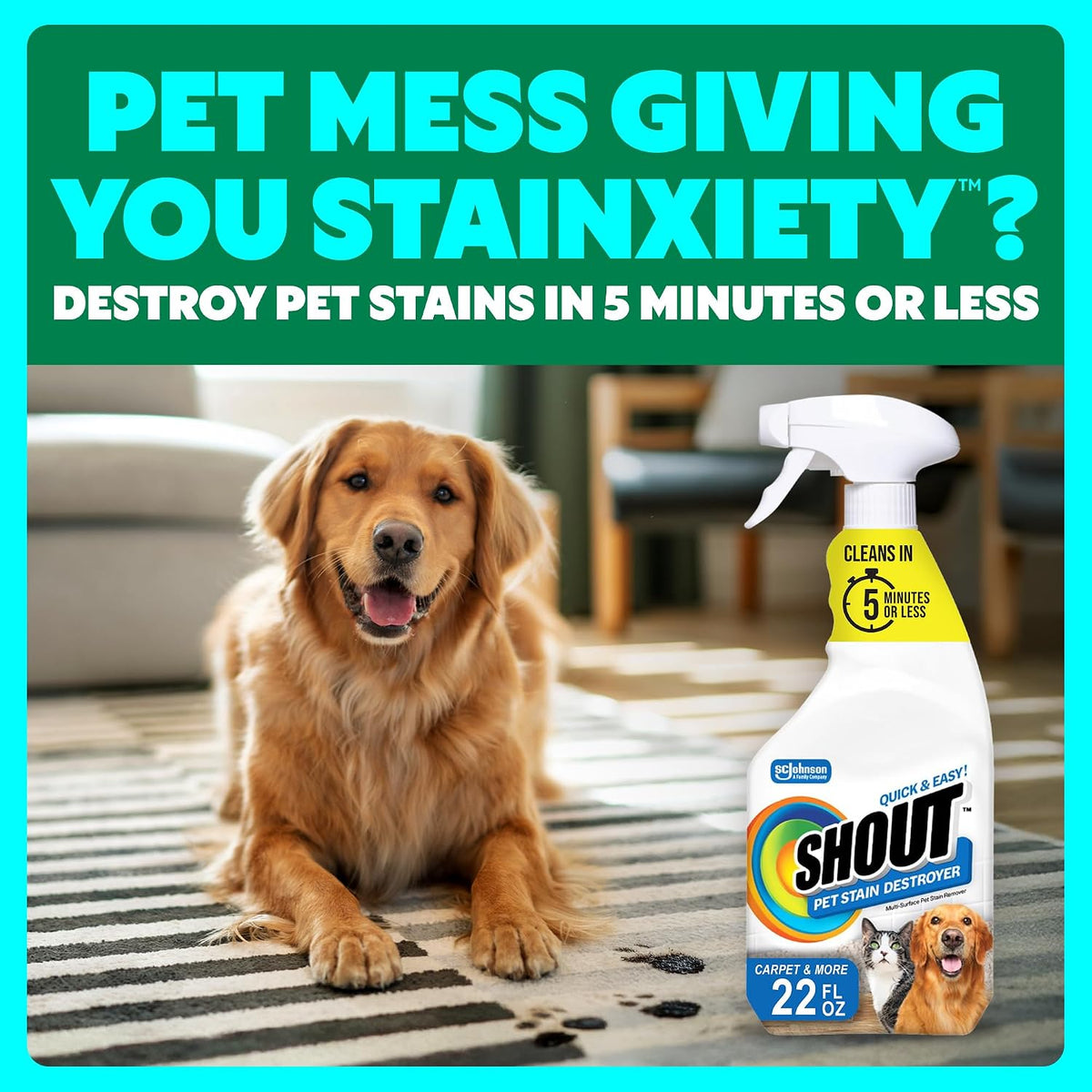 Shout Pet Stain Remover label detailing multisurface use