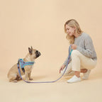 Didog dog vest harness adjustable strap mechanism