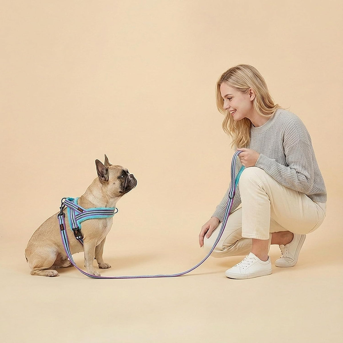 Didog dog vest harness adjustable strap mechanism