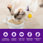 Wellness chicken recipe mousse wet cat food texture detail