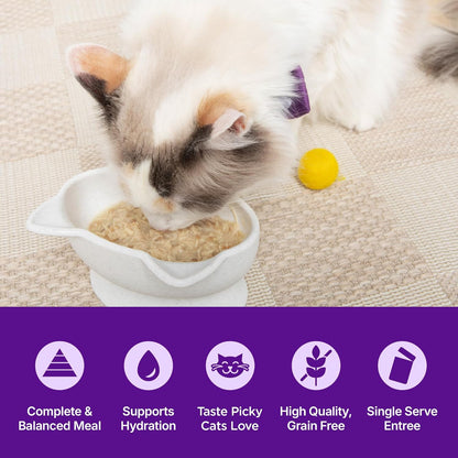 Wellness chicken recipe mousse wet cat food texture detail