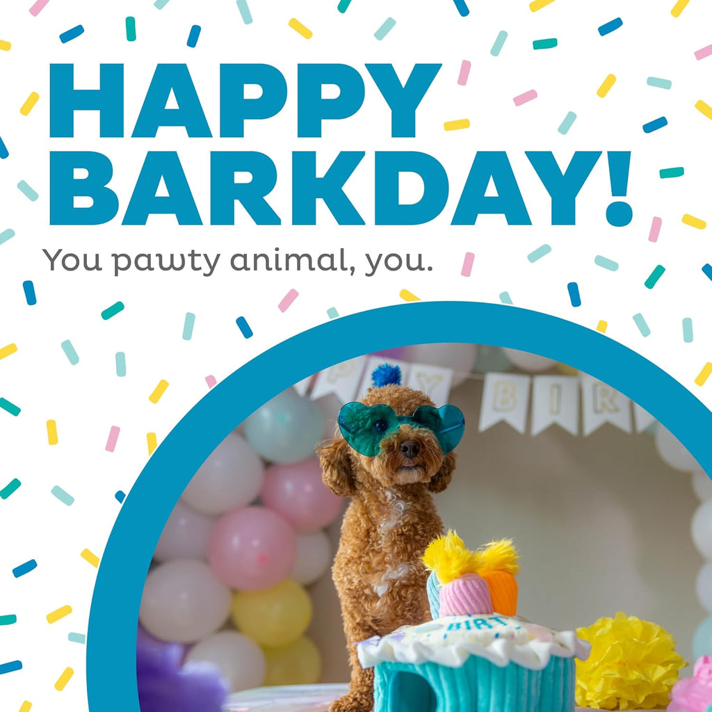 Plush cake base with three removable squeaky candle toys