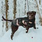 Adjustable buckle detail on Iecoii dog winter jacket