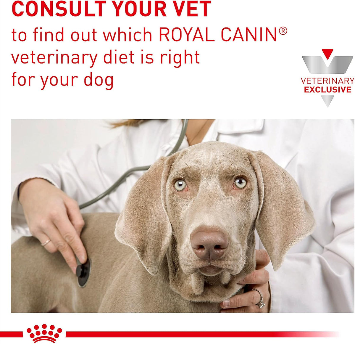 Royal Canin Veterinary Diet Canine Gastrointestinal Adult Dry Dog Food, 22 lb Bag - Image 11