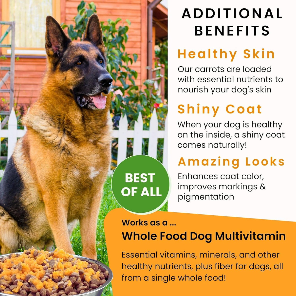 Healthy dog with shiny coat after using Olewo carrot supplement
