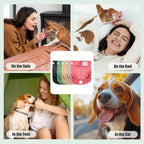 Wegreeco reusable puppy wraps for incontinence and excitable urination