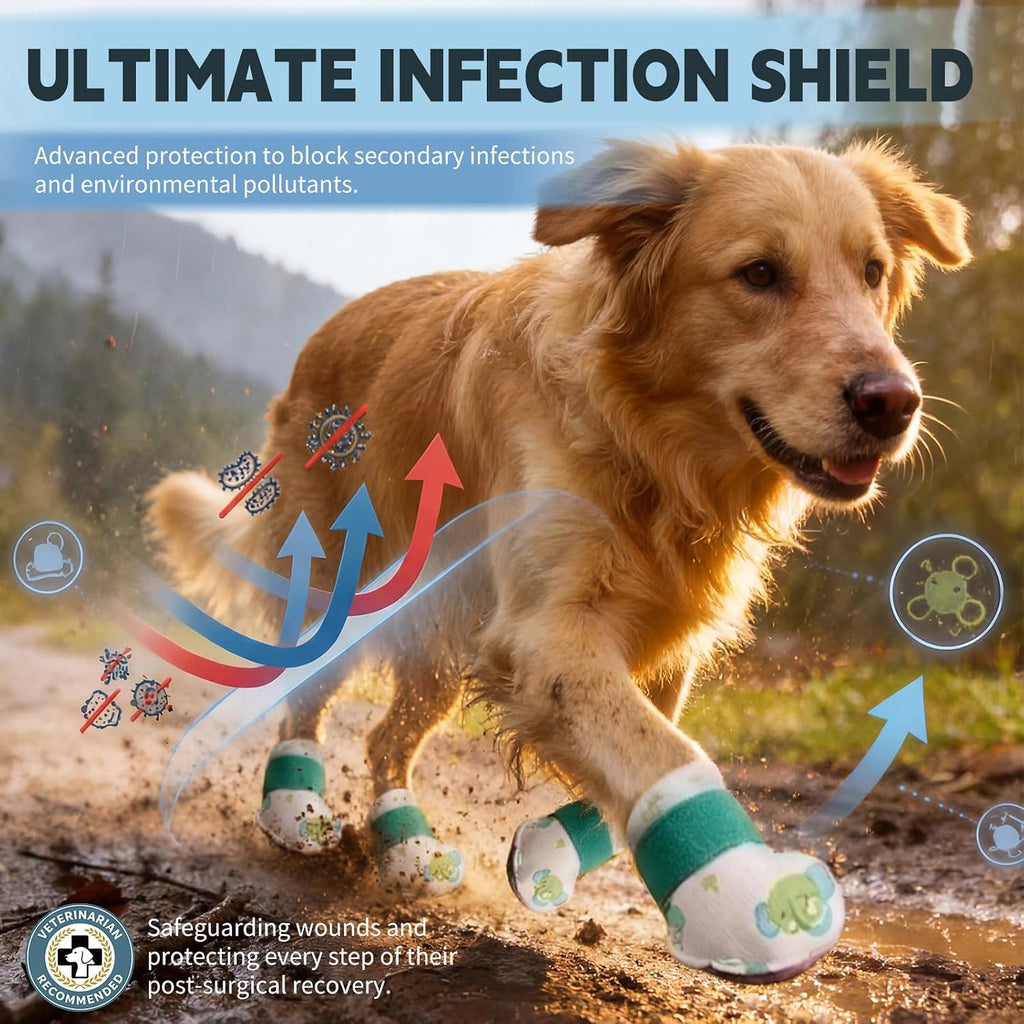 Furrtripsy disposable dog boots with self-adhesive bandage rolls