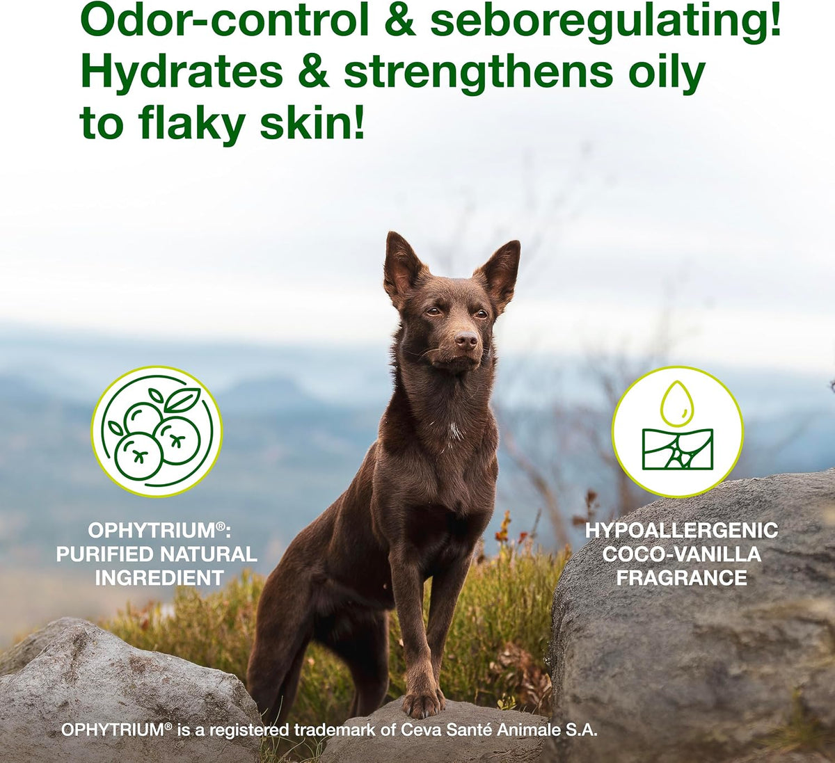 Douxo S3 Seb pet shampoo label showing Ophytrium benefits