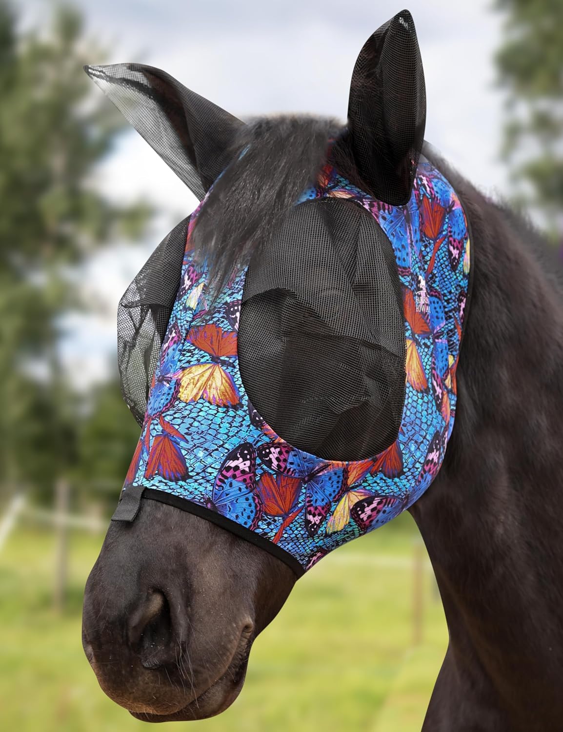 Harrison Howard fly mask showcasing ear protection design