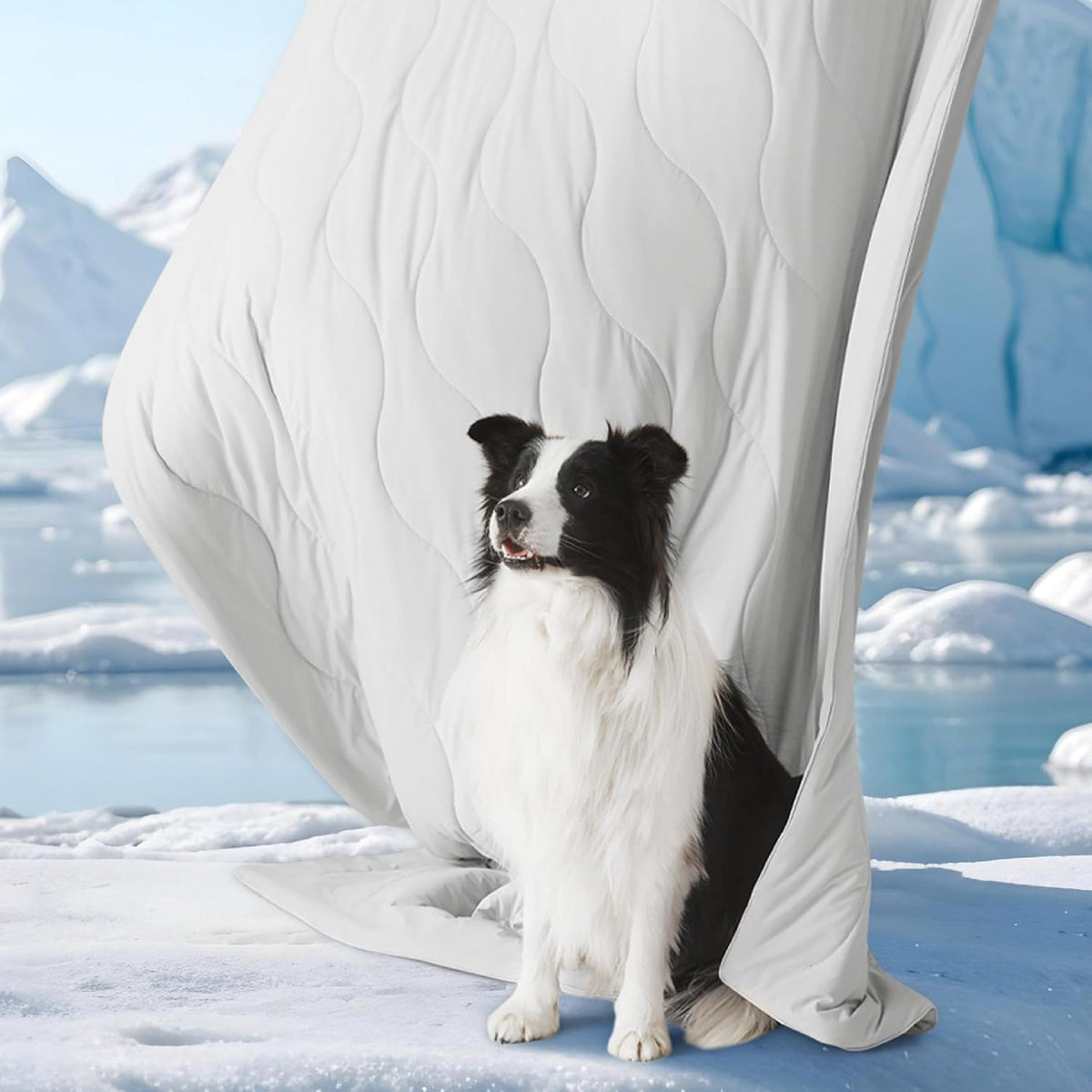 Lightweight breathable summer cold pet blanket being folded for travel