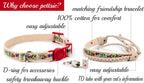 Pettsie cat collar with friendship bracelet