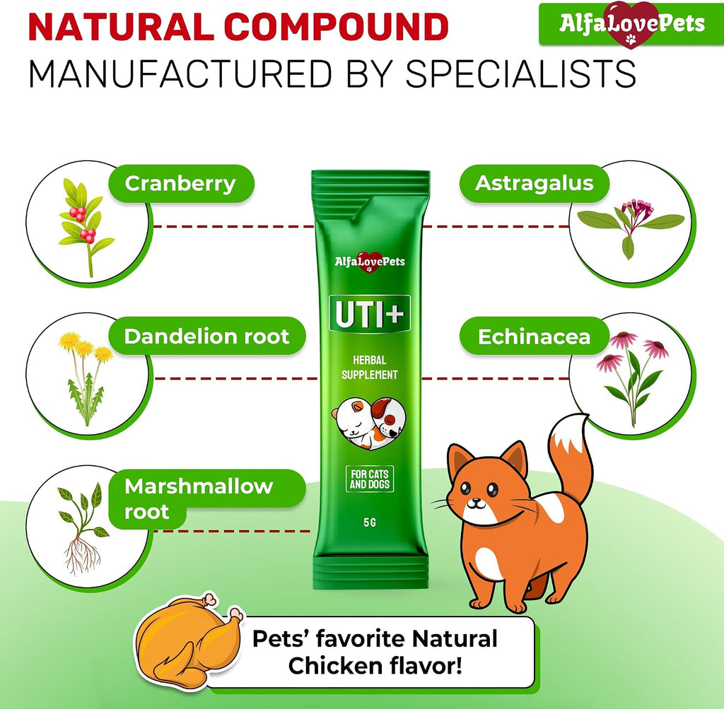 Lickable dog and cat bladder supplement stick being squeezed out for easy feeding