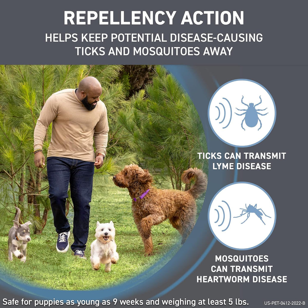 Six monthly doses applicator pack for dogs eighty one to one hundred twenty pounds