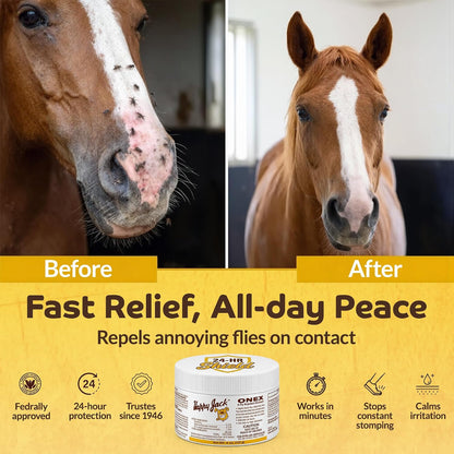 Happy Jack Onex fly repellent ointment packaging highlighting the active ingredients list.