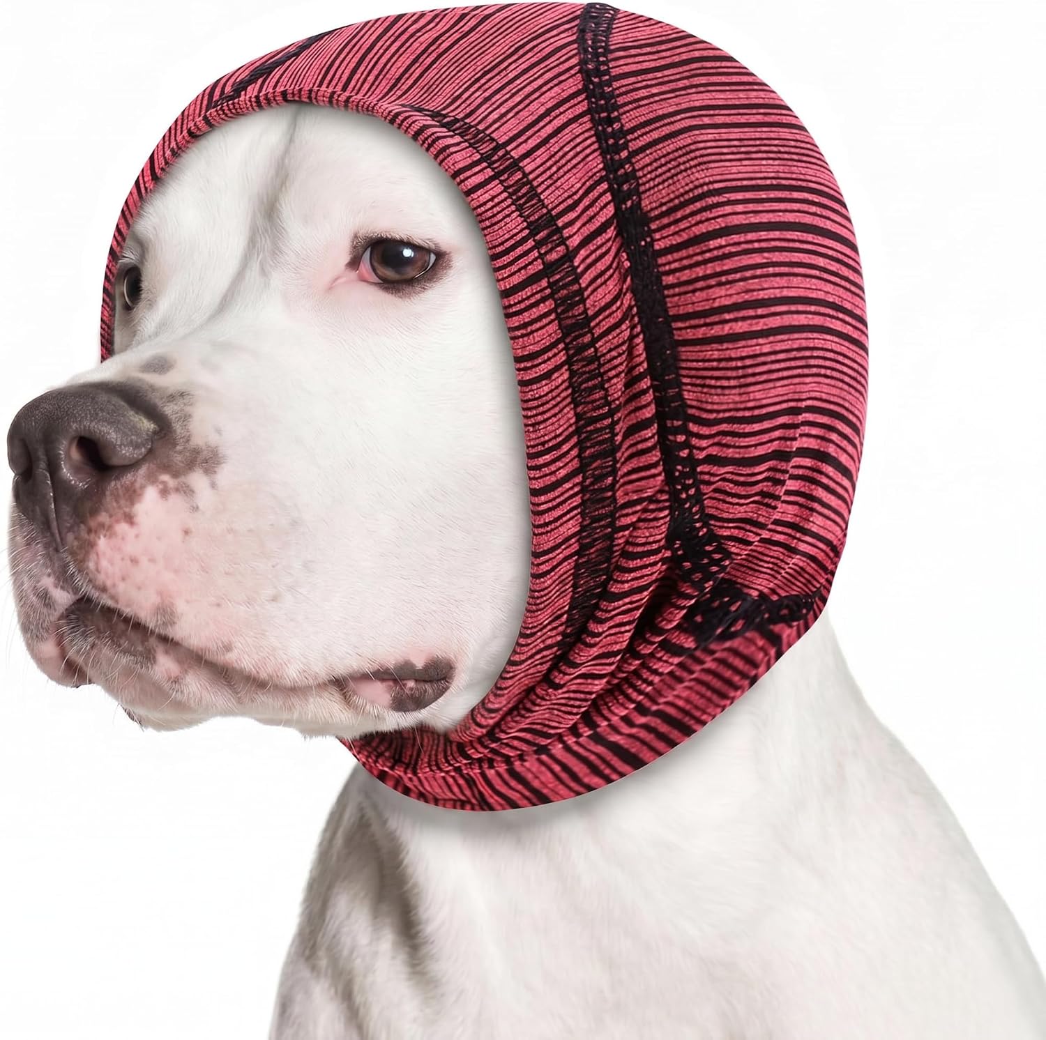 KOESON authentic USA imported dog calming sleeve packaging details