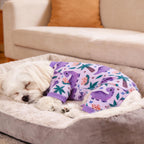 Soft breathable dog onesie for small medium dogs