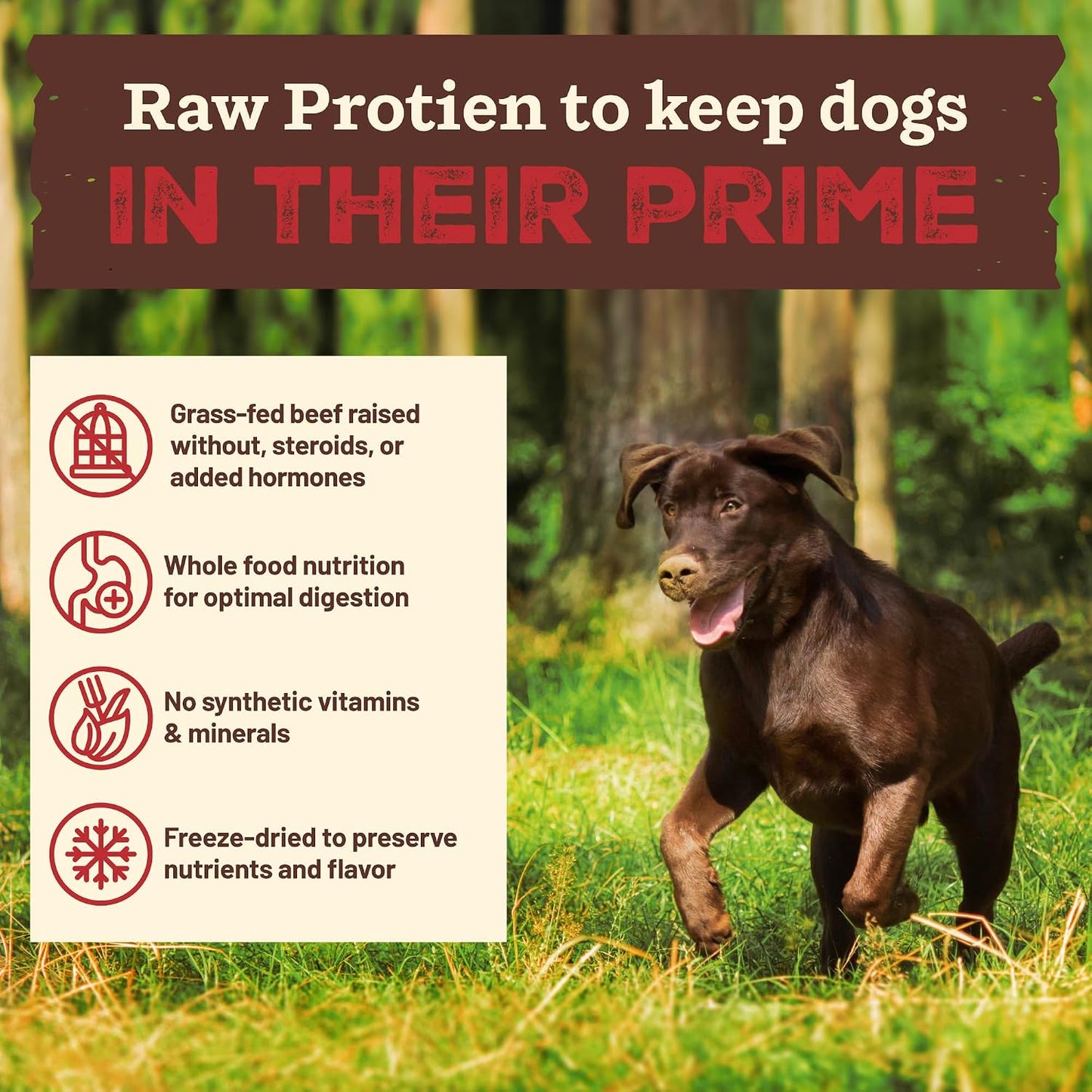 Authentic Primal grain free freeze dried dog food packaging showcasing the scoop and serve product benefit.