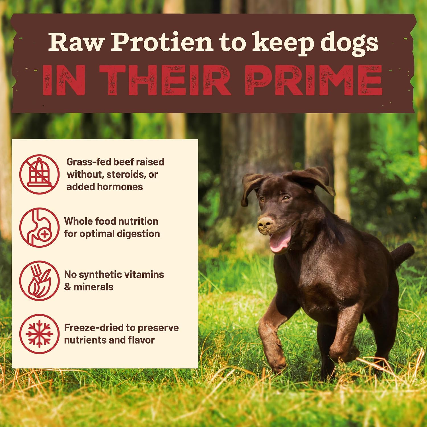 Authentic Primal grain free freeze dried dog food packaging showcasing the scoop and serve product benefit.