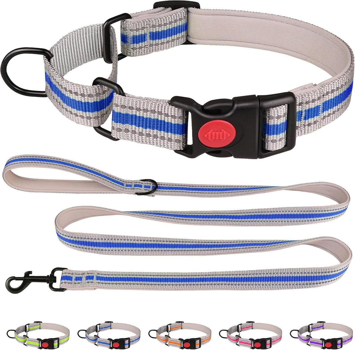 Imported premium martingale collar and leash combo package for safe pet training