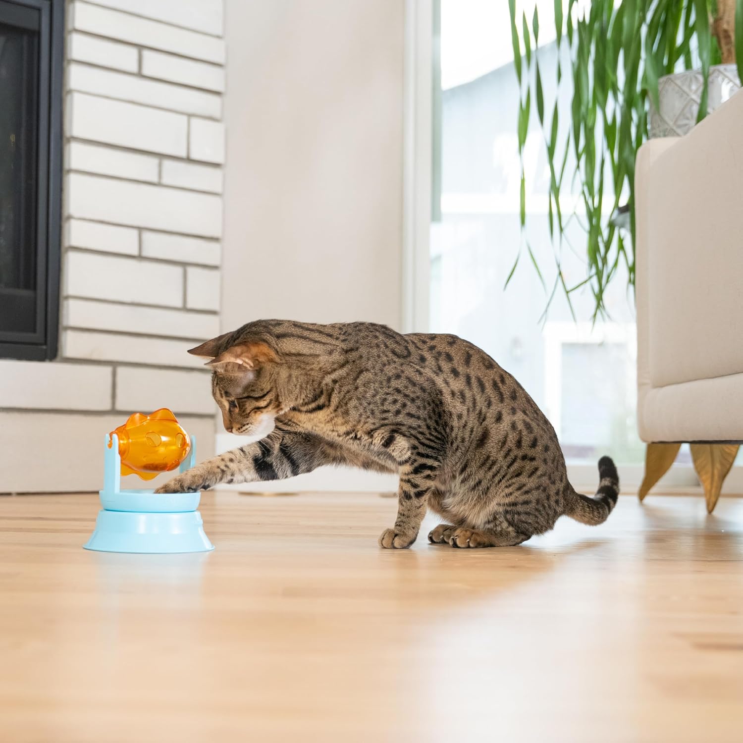 Catstages USA imported puzzle feeder toy positioned on the floor for standalone feline play.