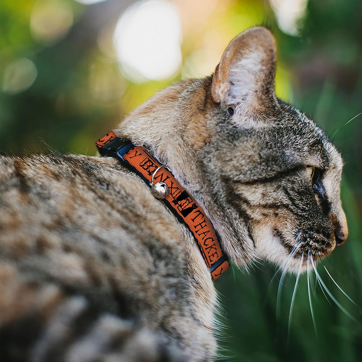 Close-up of the Buckle-Down Disney breakaway cat collar plastic safety buckle and attached silver locator bell