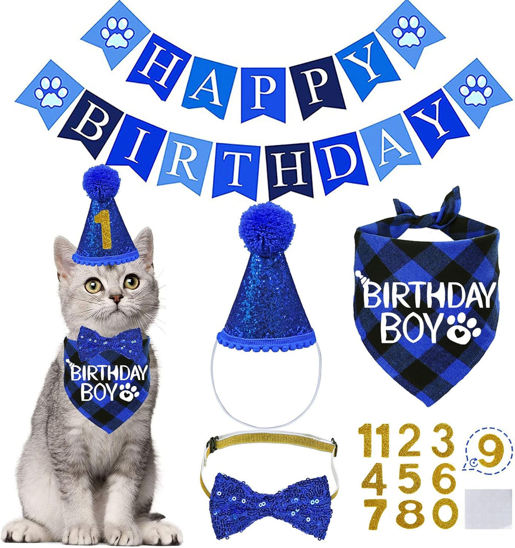 Adjustable features of the Stmk cat birthday kit