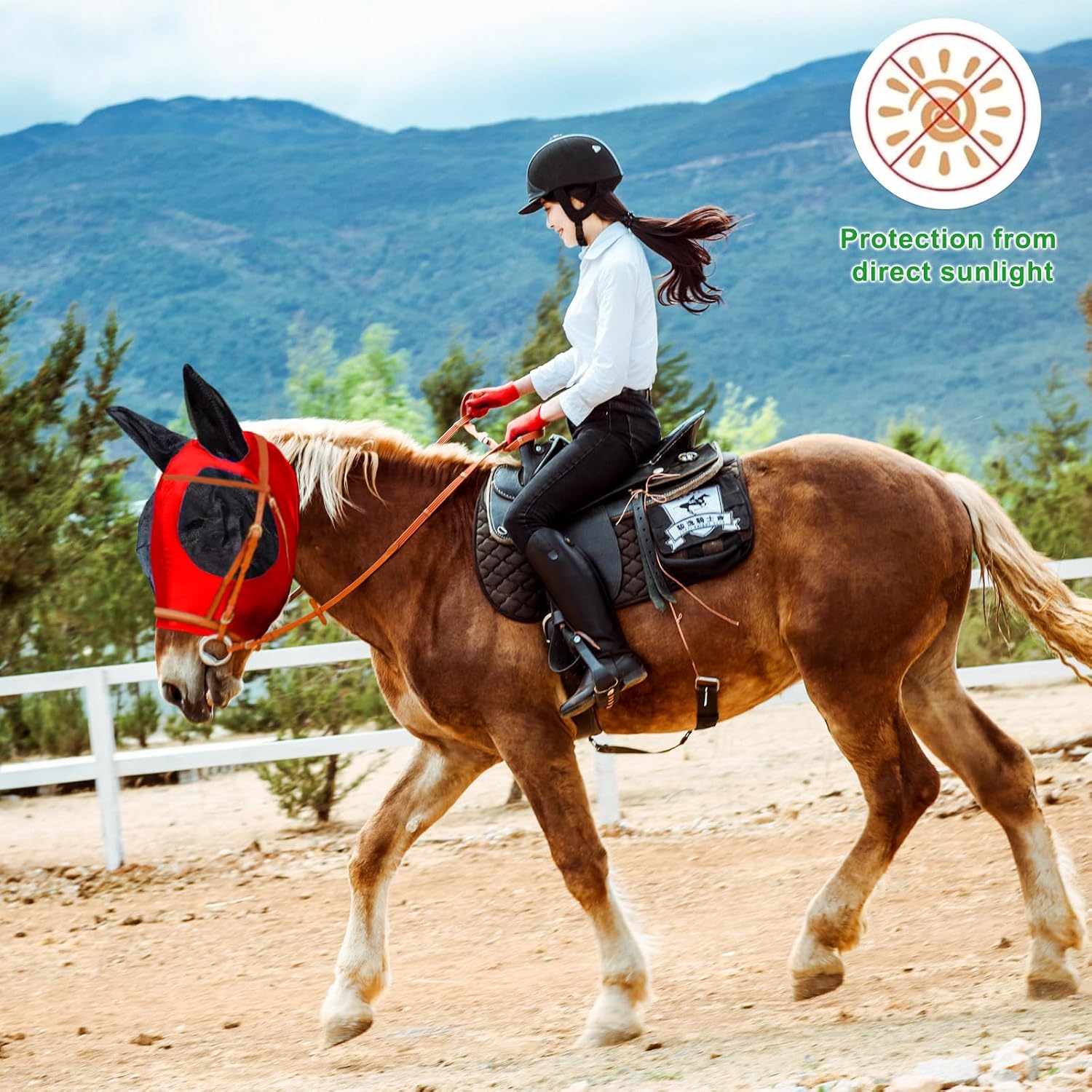 Side profile of horse wearing Foxlvda mask