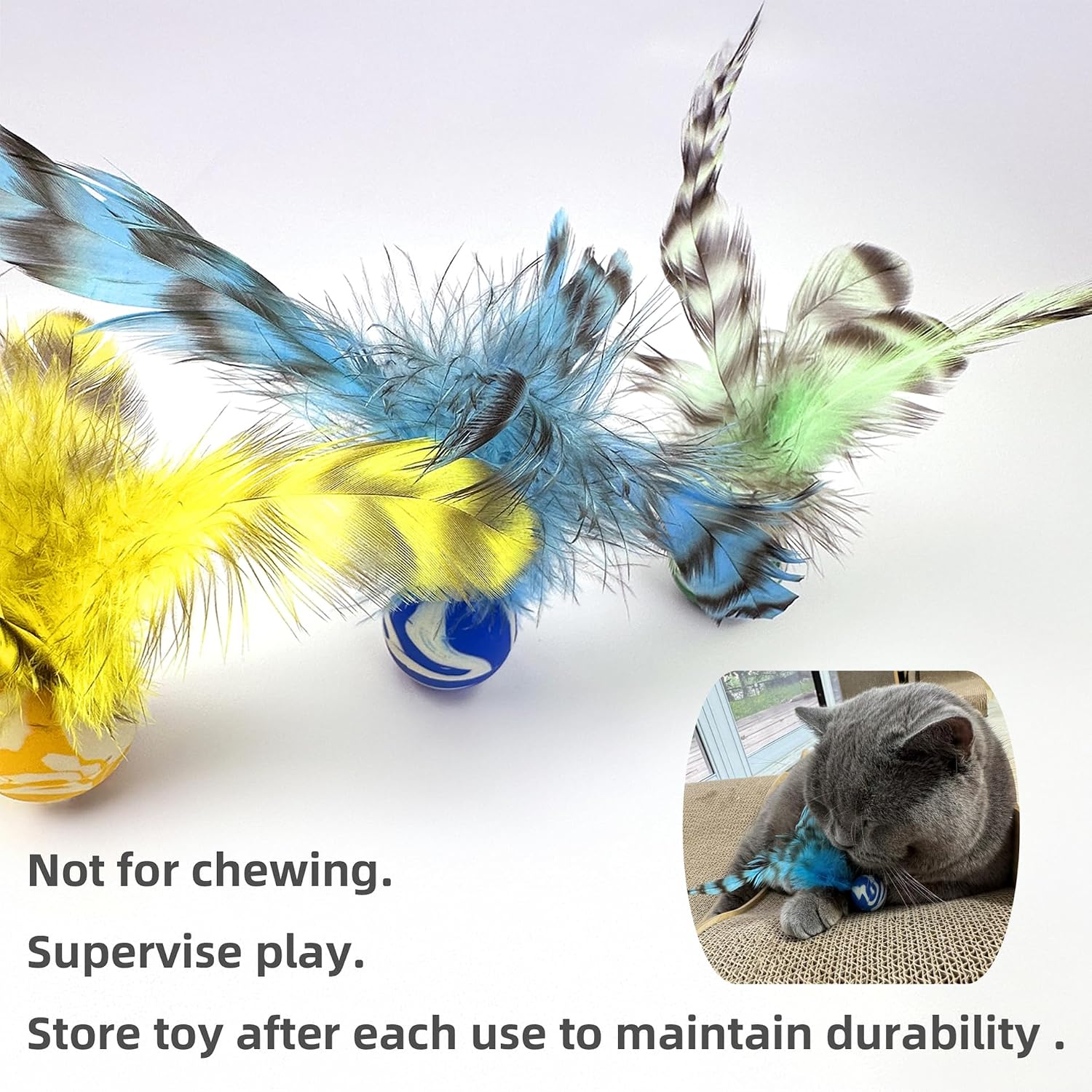 Close up view of the fluttering real natural feathers on cat toy